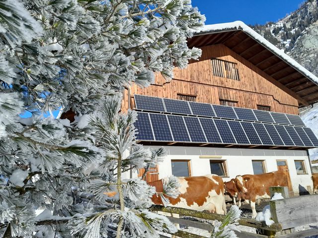 Ferienhaus Aschauhütte im Großarltal